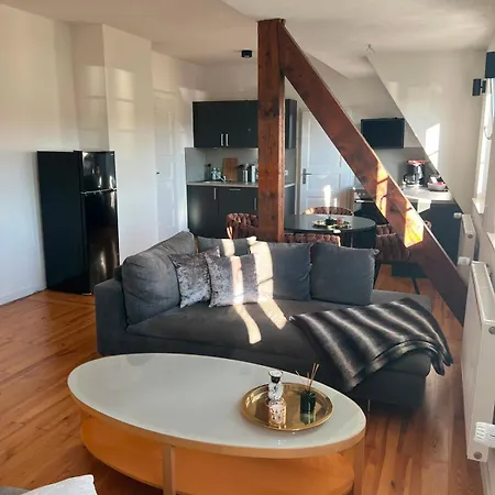 Apartament Elegantes In *